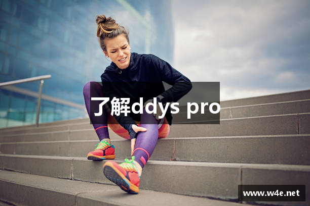 了解ddys pro